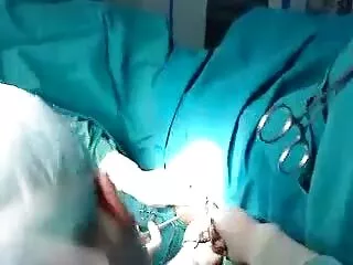 Bbw հասուն ծլվլոց