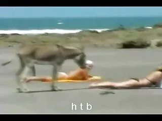 Թաիլանդ կիզիչ առանց գրաքննության xxx